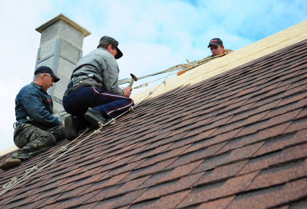 Best New Roof Installation  in Marengo, IA
